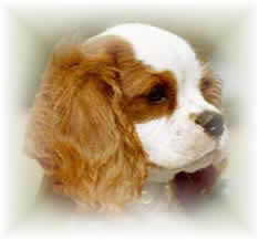 four-month-old Henry