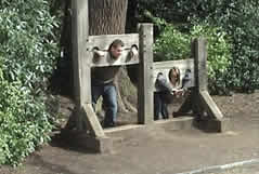 pillory