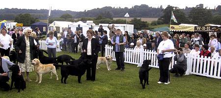Parade of Champions Parade of Champions