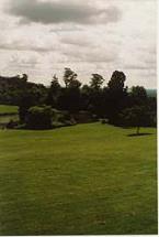 Upper Lake and Park Landscape