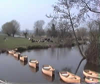 boats on the River Stour